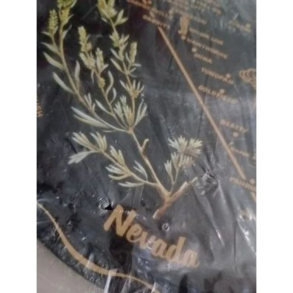 Nevada State Decorated Souvenir Tray w/6 Coasters Las Vegas Goodsprings NOS New